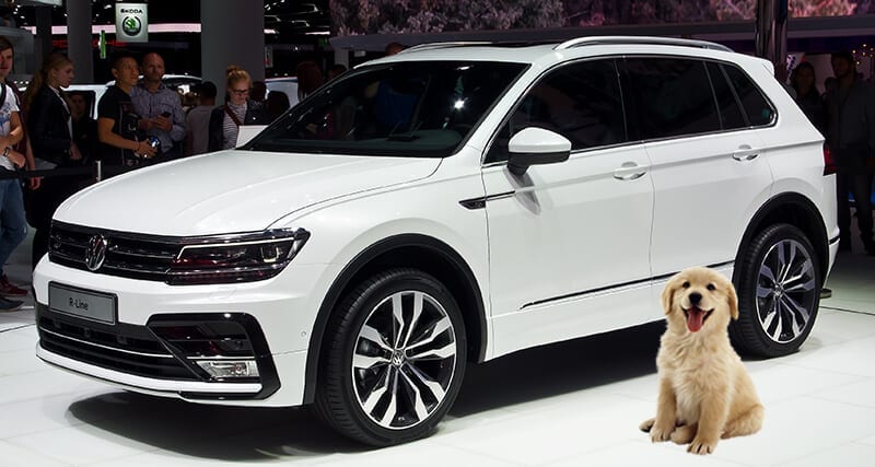 Great Rates on Car Loans For Dog Friendly Cars White VW Tiguan With Dog